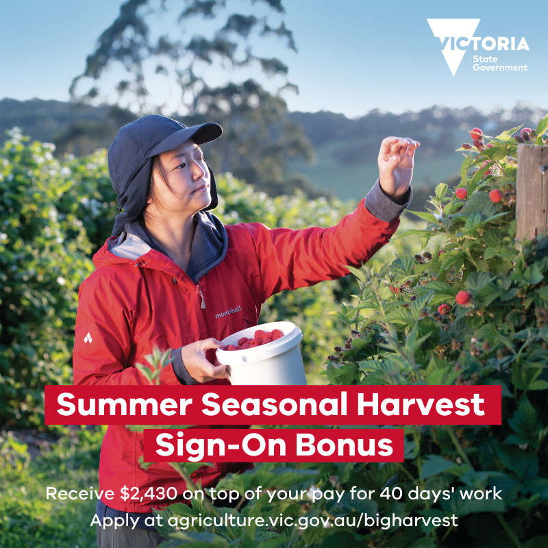 Summer Seasonal Harvest Sign On Bonus 2 003